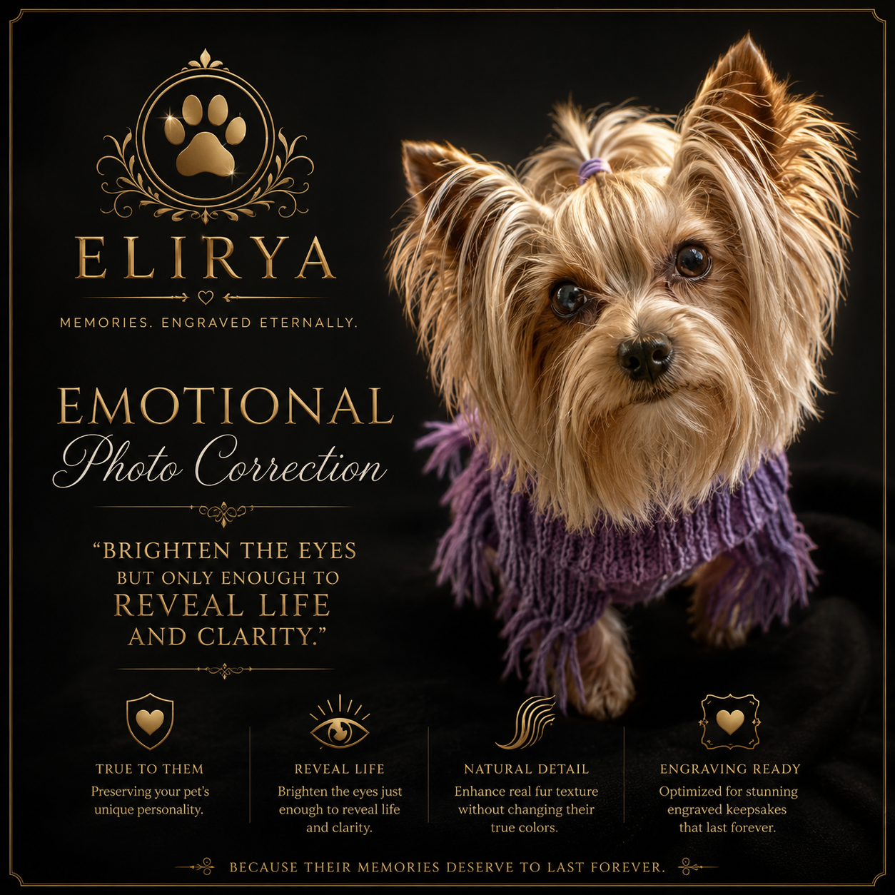 Bennsellie Emotional Photo Correction promotional proof with Yorkie and reveal life wording